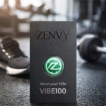 VIBE100 – Digital Booster