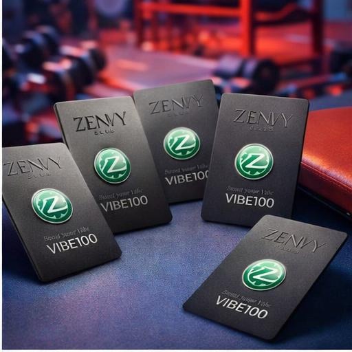 VIBE100 – Digital Booster